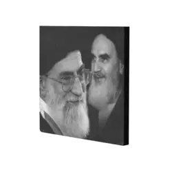 قاب شاسی یاران ماه