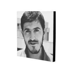 قاب شاسی یاران ماه