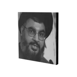 قاب شاسی یاران ماه