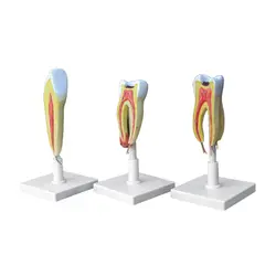 مولاژ سری 3 عددی - گوهر مد | Gohar med