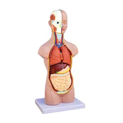 مولاژ نیم تنه کد AA18 - گوهر مد | Gohar med