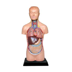 مولاژ نیم تنه مینی ساده - گوهر مد | Gohar med