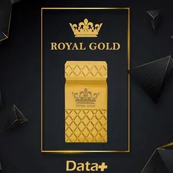 فلش ۶۴ گیگ دیتا Data Royal