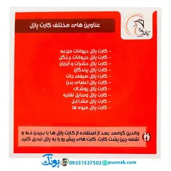 کارت‌ آموزش صیفی‌جات مدل کارت پازل انتشارات آوای بامداد (۲۰ کارت پازل آموزشی دو زبانه)