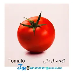 کارت‌ آموزش صیفی‌جات مدل کارت پازل انتشارات آوای بامداد (۲۰ کارت پازل آموزشی دو زبانه)
