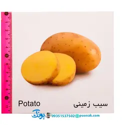 کارت‌ آموزش صیفی‌جات مدل کارت پازل انتشارات آوای بامداد (۲۰ کارت پازل آموزشی دو زبانه)
