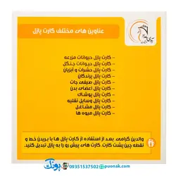 کارت‌ آموزش وسایل نقلیه مدل کارت پازل انتشارات آوای بامداد (۲۰ کارت پازل آموزشی دو زبانه)
