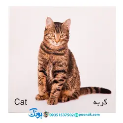 کارت‌ آموزش حیوانات مزرعه مدل کارت پازل انتشارات آوای بامداد (۲۰ کارت پازل آموزشی دو زبانه)
