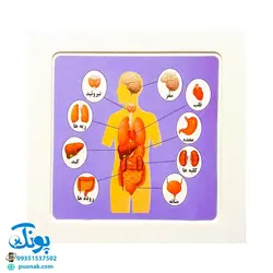 بازی فکری آموزشی پازل کشویی جدول هوش طرح اعضای بدن کفشدوزک (سایز ۱۱*۱۱ cm)