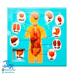 بازی فکری آموزشی پازل کشویی جدول هوش طرح اعضای بدن کفشدوزک (سایز ۱۱*۱۱ cm)
