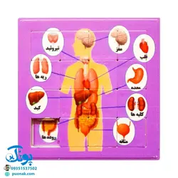 بازی فکری آموزشی پازل کشویی جدول هوش طرح اعضای بدن کفشدوزک (سایز ۱۱*۱۱ cm)