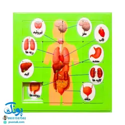 بازی فکری آموزشی پازل کشویی جدول هوش طرح اعضای بدن کفشدوزک (سایز ۱۱*۱۱ cm)