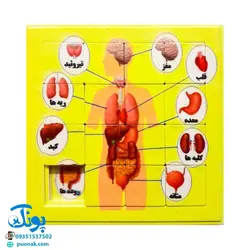 بازی فکری آموزشی پازل کشویی جدول هوش طرح و عکس دلخواه شما حداقل سفارش ۱۱۰ عدد (سایز ۱۱*۱۱ cm)