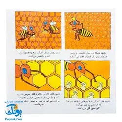 کتاب دایره المعارف کوچک من درباره ی حشرات و موجودات ریز جثه