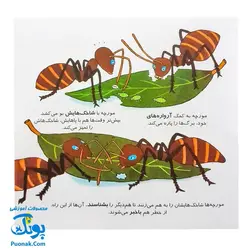کتاب دایره المعارف کوچک من درباره ی حشرات و موجودات ریز جثه