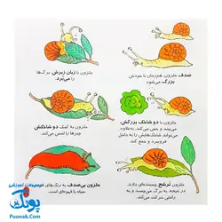 کتاب دایره المعارف کوچک من درباره ی حشرات و موجودات ریز جثه