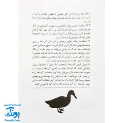 فلش کارت های سیاه و سفید (نوزاد) ، (تقویت حس دیداری) ، (۲۴ کارت دو رو) | نردبان