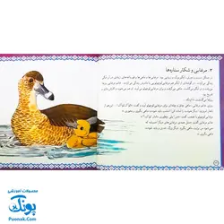 کتاب مجموعه قصه های قشنگ و قدیمی جلد ۲۰ بیستم ۱۶ قصه از کلیله و دمنه نصرالله منشی
