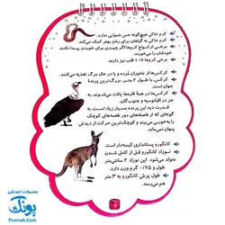 کتابک پیک دنیای حیوانات ۲ (دانستنی هایی از حیوانات)
