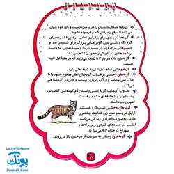 کتابک پیک دنیای حیوانات ۲ (دانستنی هایی از حیوانات)
