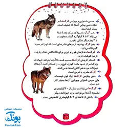 کتابک پیک دنیای حیوانات ۲ (دانستنی هایی از حیوانات)