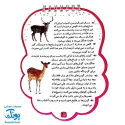 کتابک پیک دنیای حیوانات ۲ (دانستنی هایی از حیوانات)