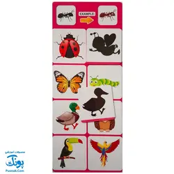 بازی فکری سایه بازی (Shadow Game)