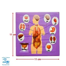 پازل کشویی جدول هوش اعضای بدن انسان رنگ بنفش مدل کفشدوزک (سایز ۱۱*۱۱ cm) - محصولات آموزشی پونک