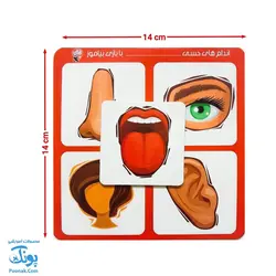 بازی آموزشی هماهنگ ها زاغک (آموزش مفاهیم اشتراک، روابط و تضاد) - پونک