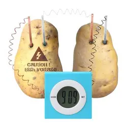 کیت آموزشی ساخت ساعت با سیب زمینی Potato Clock