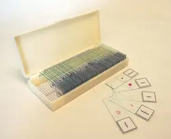 لام آماده میکروسکوپ شیشه ای گیاهی و جانوری (۲۴ عددی)