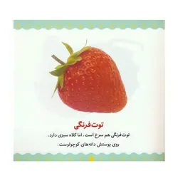 کتاب میوه‌ها و سبزی‌ها (مجموعه می‌بینم، یاد می‌گیرم ۱)