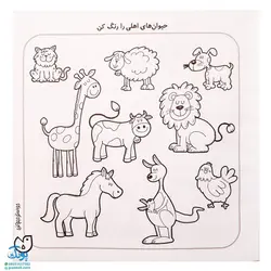 کتاب حواستو جمع کن ۵ (آموزش مفاهیم علوم، شناخت و طبقه بندی جانوران)