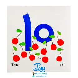 کتاب فرهنگ تصویری نی نی ها (عددها) - شهر قلم