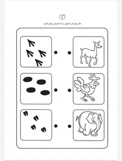 کتاب کار کودک شناخت حیوانات (مجموعه قاصدک دانایی ۵)