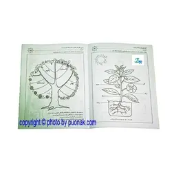 کتاب آموزشی علوم من از مجموعه کتابهای آموزش غیر مستقیم برای کودکان پیش دبستان