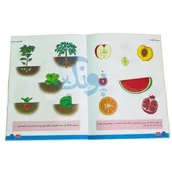 کتاب آموزشی علوم 3 (گیاهان) برای کودکان 4 تا 6 سال