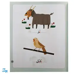 کتاب مجموعه ۴۲ جلدی خودم می خوانم : فارسی آموز برای کلاس اولی ها (قابدار به اضافه‌ی کتاب شب به شب با دیکته شب)