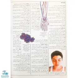 کتاب دانشنامه مصور بدن انسان اثر ریچارد واکر - اعتلای وطن | THE HUMAN BODY