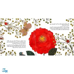 کتاب که این طور! (یک داستان تخیلی با مفهوم قرآنی اثر کلر ژوبرت)