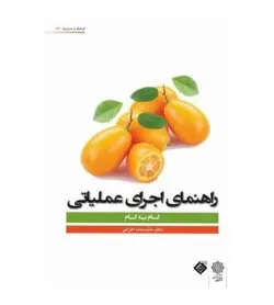 خرید کتاب راهنمای اجرای عملیاتی انتشارات دفتر پژوهشهای فرهنگی - فروشگاه رهبران کتاب