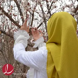 مانتو خامه دوزی مدل بابونه رویلند استایل