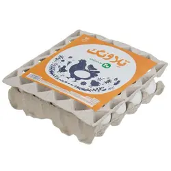 تخم مرغ 20 عددی تلاونگ