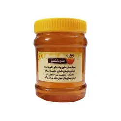 عسل گشنیز 500 گرمی هیدالو