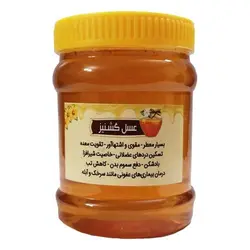 عسل گشنیز 1 کیلوگرمی هیدالو