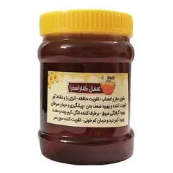 عسل کنار (سدر) 1 کیلوگرمی هیدالو