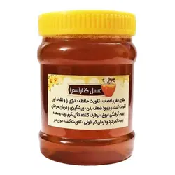 عسل کنار (سدر) درجه یک 1 کیلوگرمی هیدالو