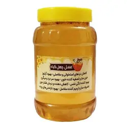 عسل چهل گیاه 1 کیلوگرمی هیدالو