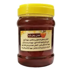 عسل چهل گیاه درجه یک 1 کیلوگرمی هیدالو