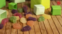 پاستیل شیبا مدل Rainforest مقدار 90 گرم